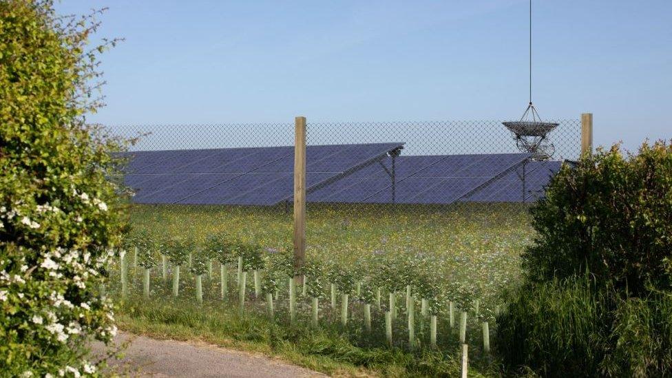 Image of what a view of University of Cambridge solar farm in Barton could look like one year after being installed. Image taken from planning documents