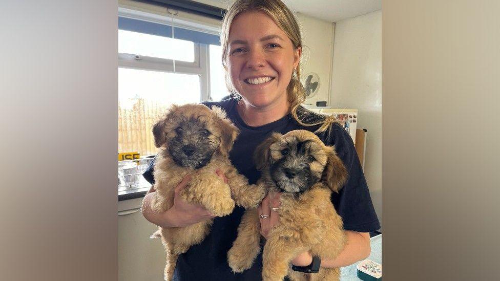 A woman at a rescue centre in a black T-shirt holding two fluffy brown and black puppies in her arms and smiling