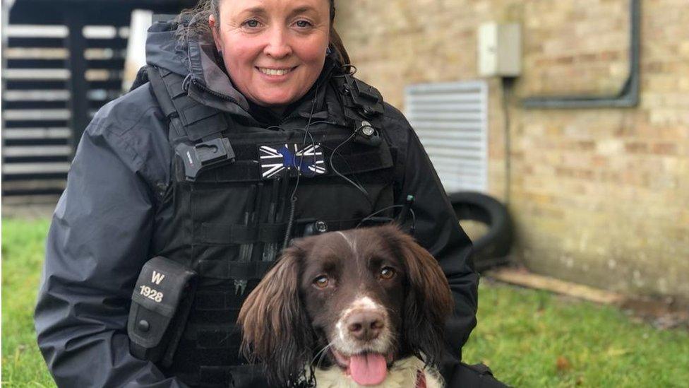 Sam Dutton, dog handler at Wiltshire Police, and 3-year old Springer Spaniel “Digi Dog” Dora