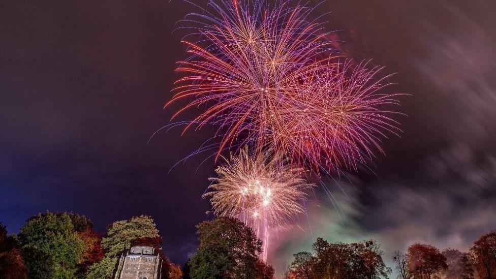 Three fireworks illuminate the sky. Trees can also be seen.