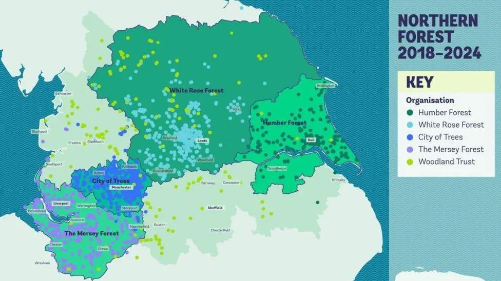 A map showing the extent of tree planting across the north of England. A colour-coded key shows where trees have been planted for the Humber, White Rose, "City of Trees" and Mersey forests, along with others planted by the Woodland Trust.