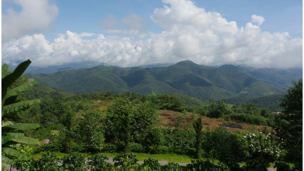 A wide shot of lush, green, hilly scenery in Wa state.