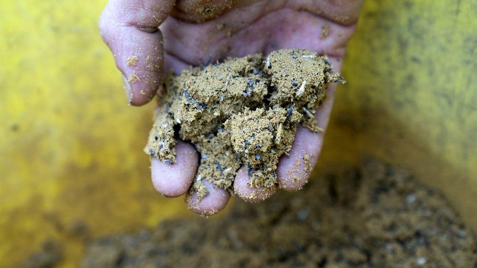 Seeds mixed with sand which gardeners will sow by hand in the moat at the Tower of London for the Superbloom display, which will mark the Queen's Platinum Jubilee. Over 20 million seeds will be sown in the moat using carefully designed seed mixes to form the flower display which runs from June through to September.