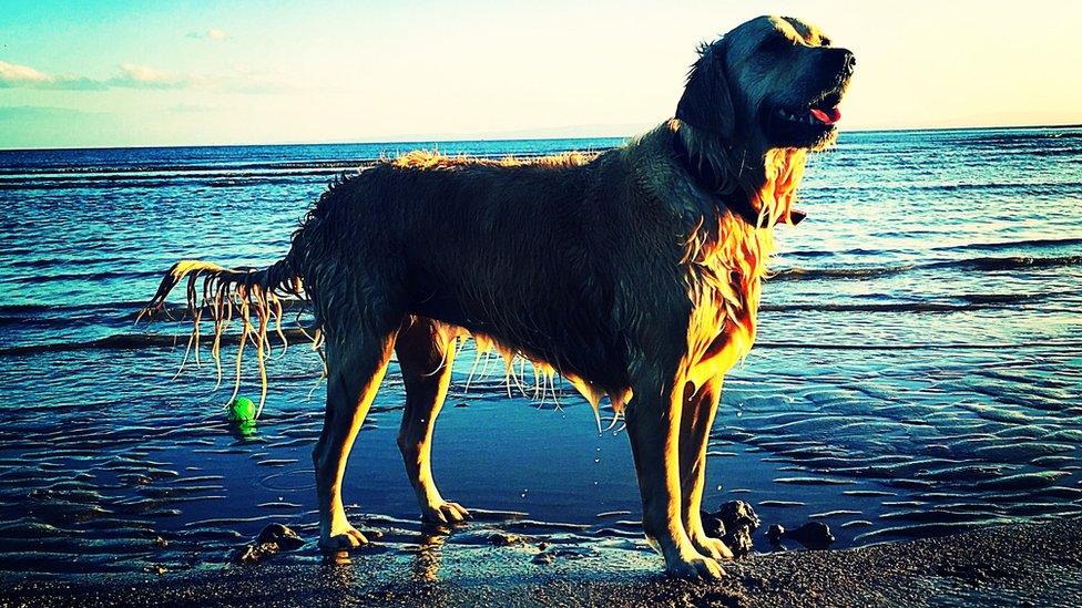 Layla at Barry Island beach front in Vale of Glamorgan