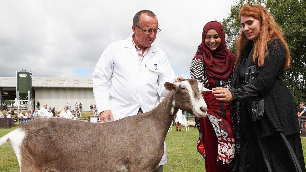 Two Asian women stroking a goat, which is being supervised by its handler