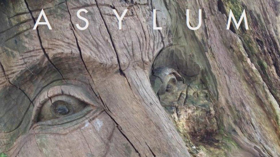 Asylum book cover