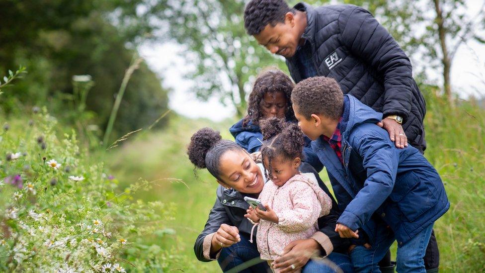 Family take part in Big Butterfly Count