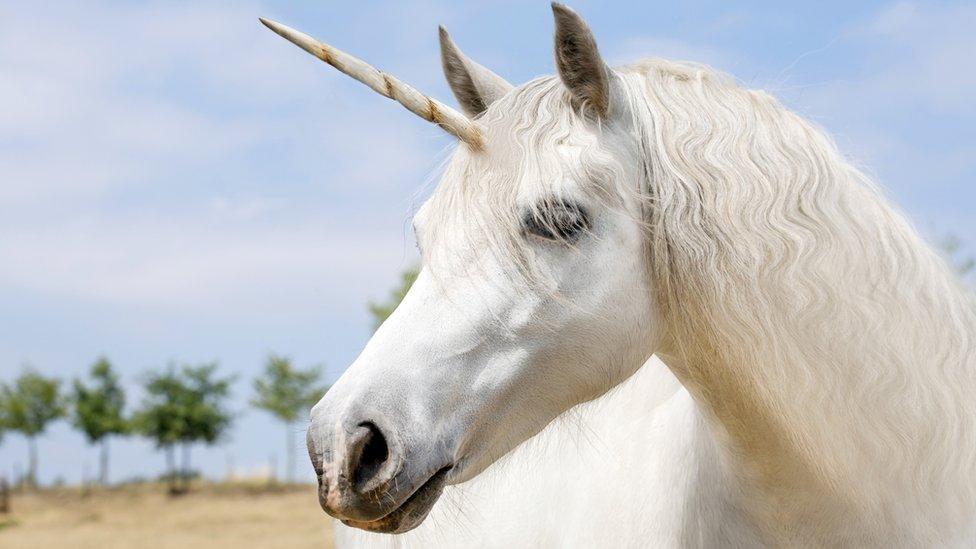 Unicorn