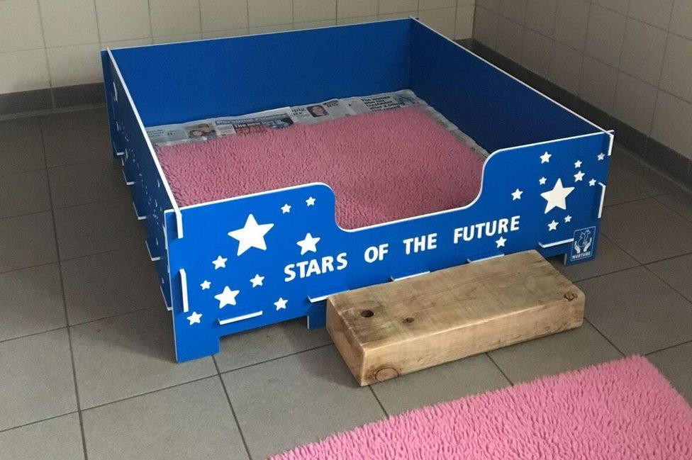 The whelping box, where the puppies live with their mother, pictured with a slogan across the side that reads, "Stars of the future".