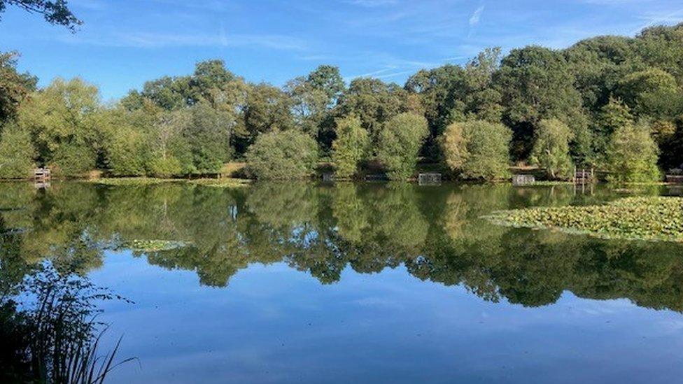 Kingsley Pond off Forge Road