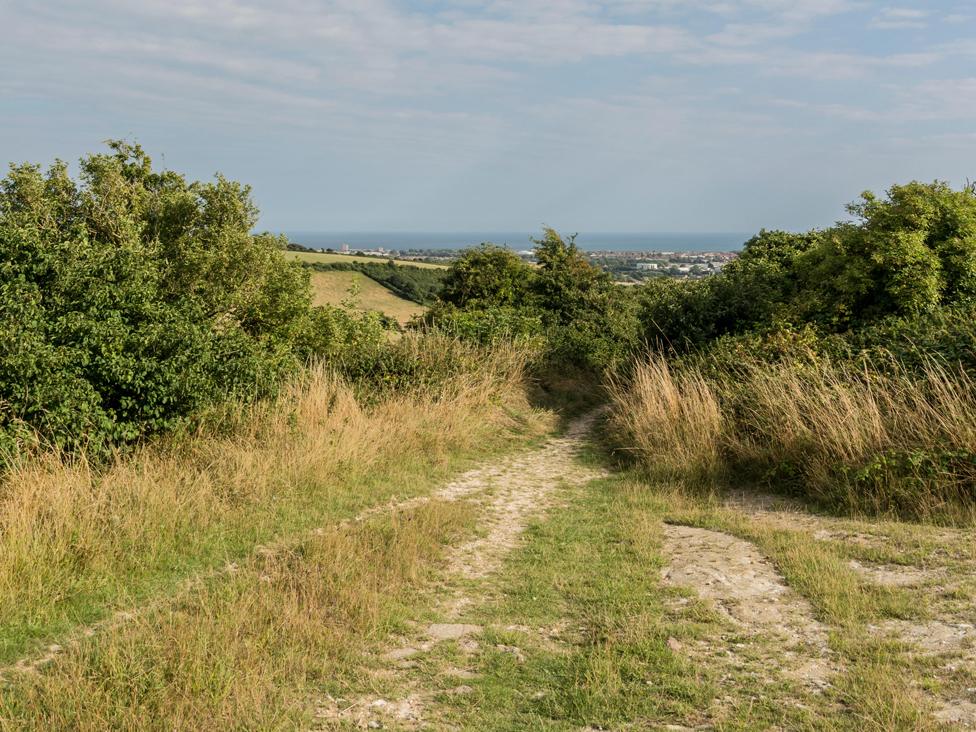 A bridleway leading down Cissbury Ring on the South Downs