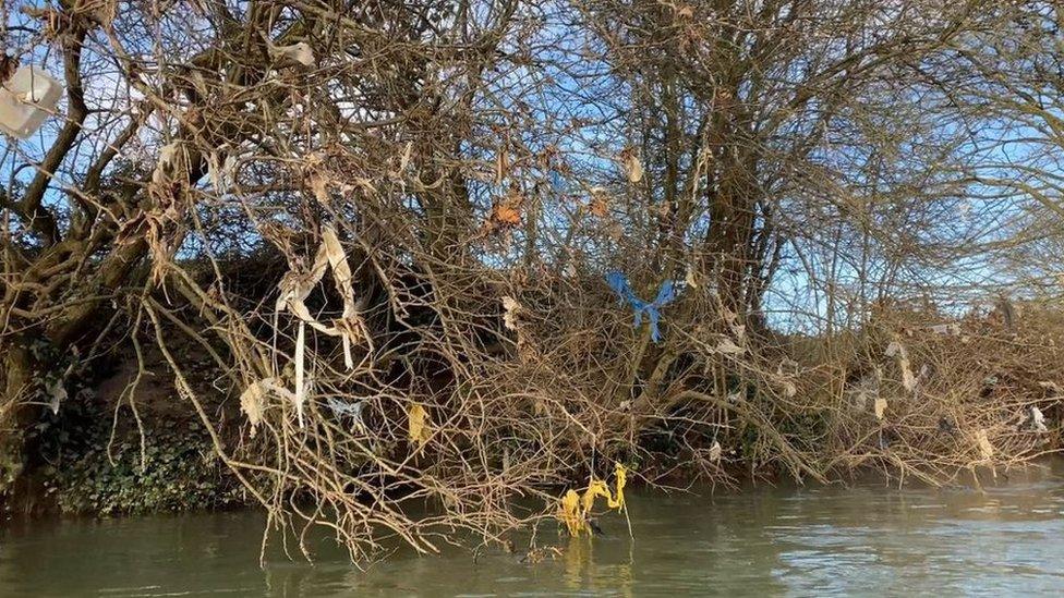 Plastic and debris caught in the trees hanging over the River Avon