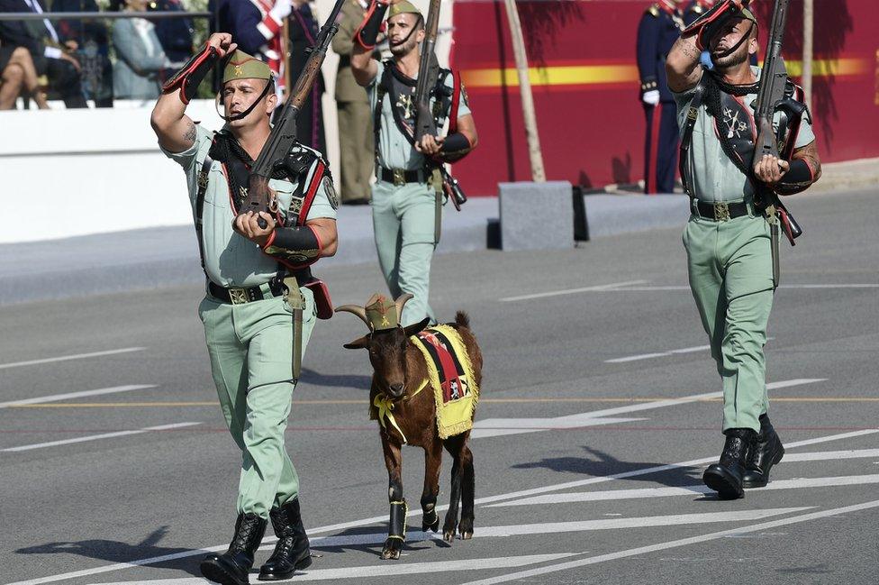 Spanish Legion on parade with goat, 12 Oct 17