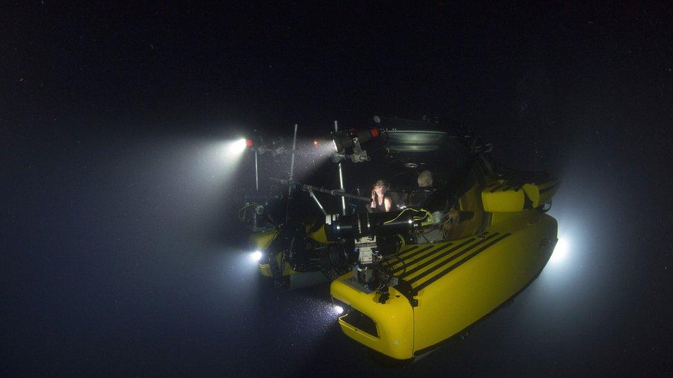 The Blue Planet II team worked with several submarines to film the 'Deep' episode