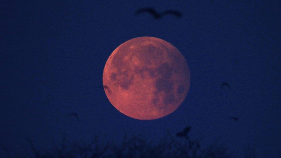 The first penumbral eclipse of moon of 2017 is seen in Lahore, Pakistan