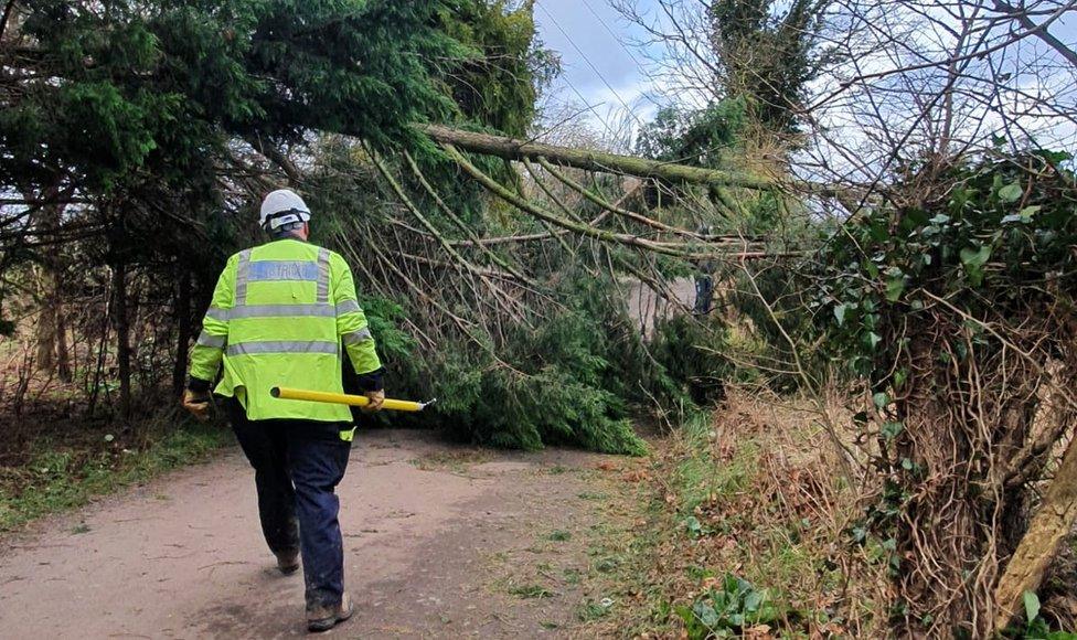 A UK Power Networks engineer assessing damage