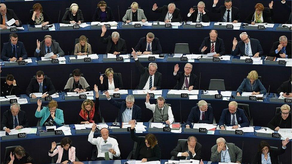 Members of the European Parliament vote