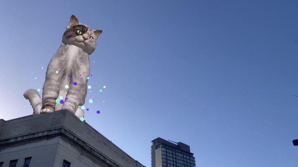 Cat artwork on Sheffield Central Library