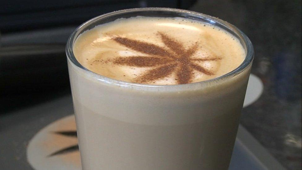 A chocolate powder cannabis leaf on top of a coffee