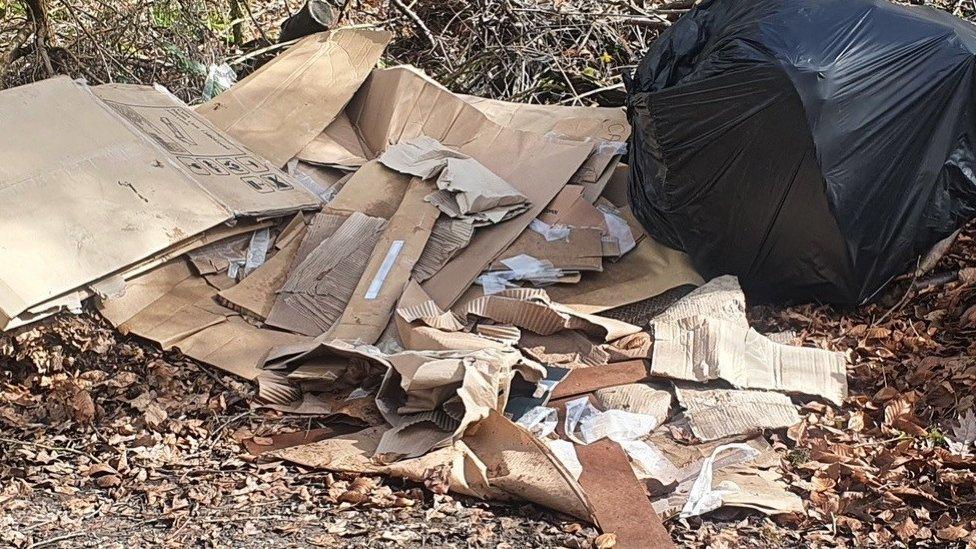 Fly-tipped cardboard boxes and a bin bag in a natural setting