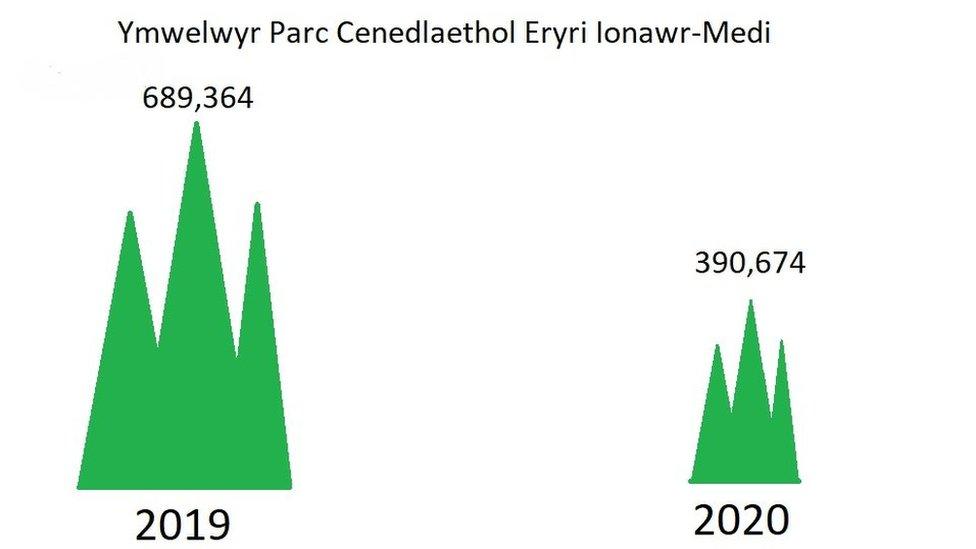 Ffigurau yn dangos hanner yr ymwelwyr i Barc Cenedlaethol Eryri rhwng 2019 a 2020