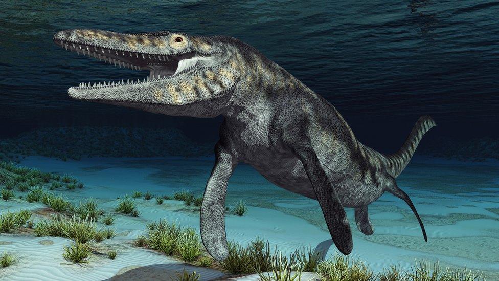 Mosasaur.