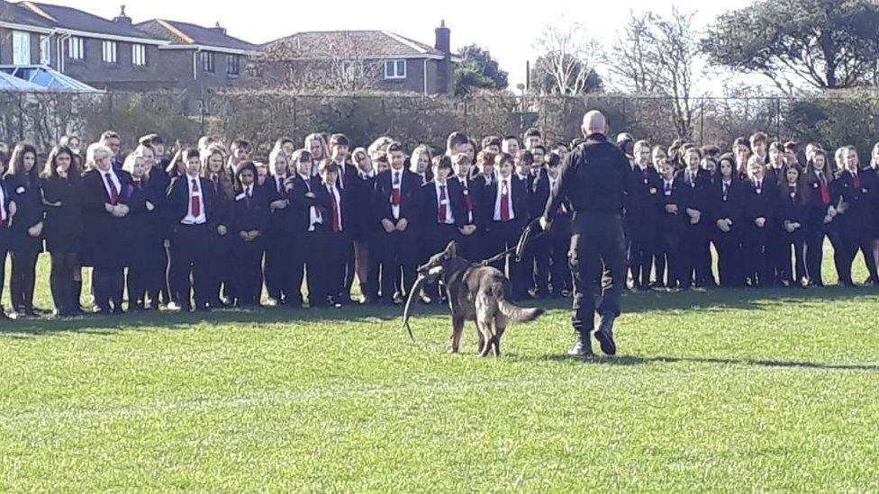 A large group of children watching a police officer with a k-9 police dog in the school field