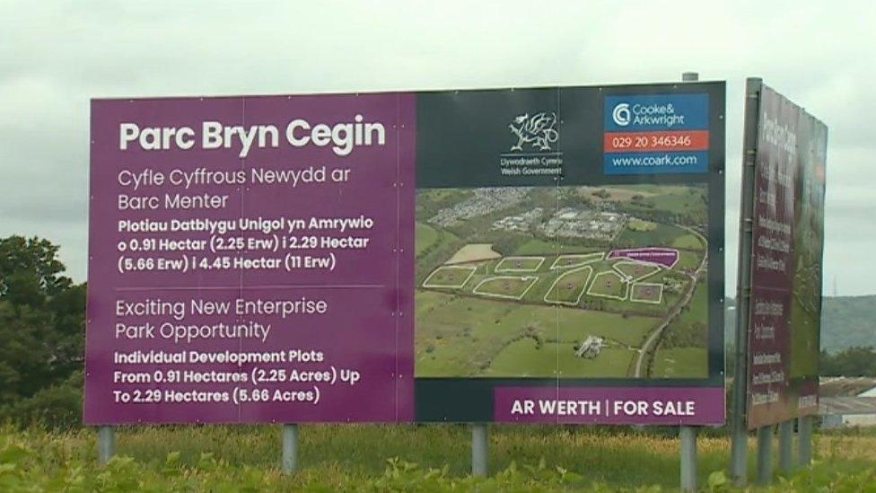 bryn cegin