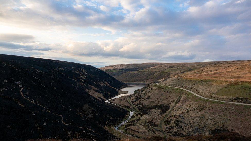 Burnt moorland