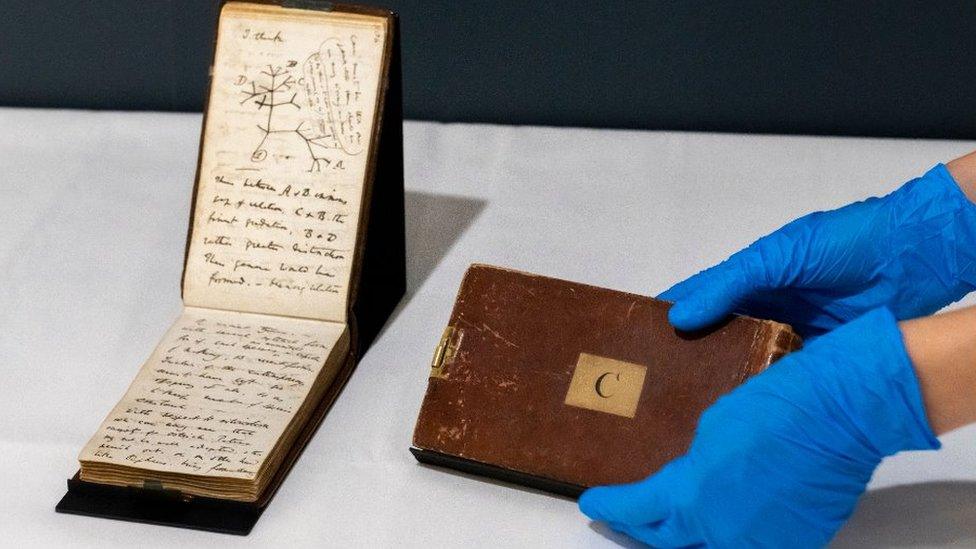 Charles Darwin's notebooks