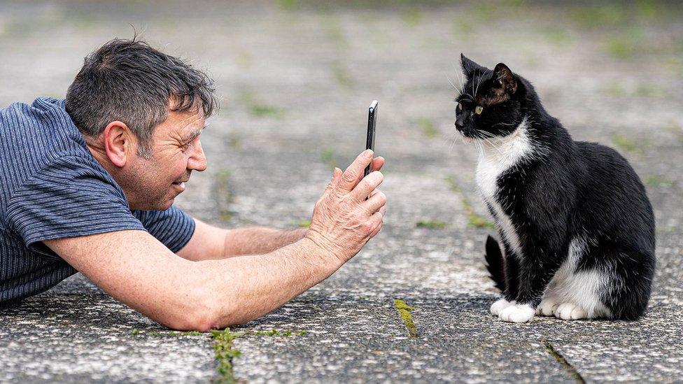 man-taking-picture-of-cat.