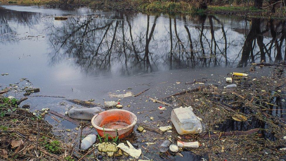 Highly littered canal