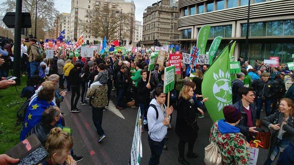 The Green bloc at the People's Vote march in London