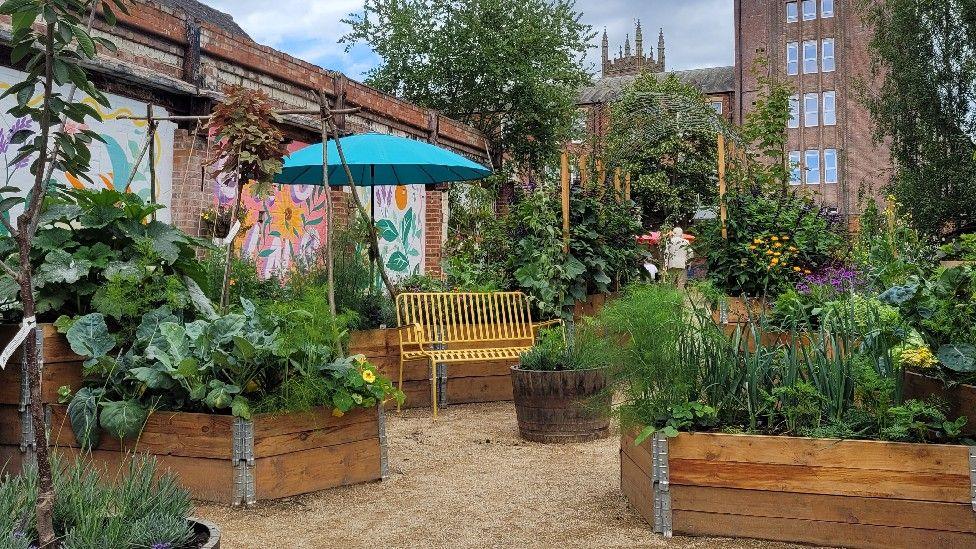 An empty bench surrounded by plants in raised beds in the Electric Daisy garden