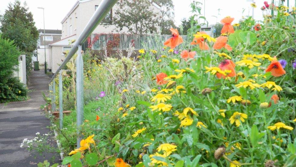 Flowers in Trevelyan Court