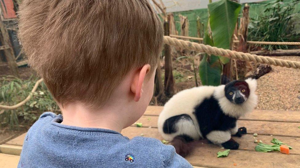 A child looking at a monkey at Jimmy's Farm