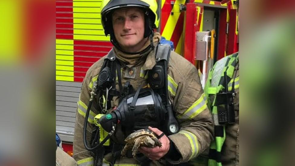 Tortoise with a firefighter