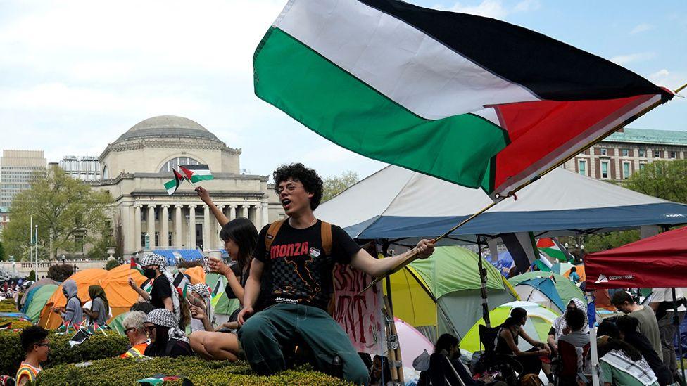 Protesters wave Palestinian flags on the West Lawn of Columbia University on April 29, 2024 in New York.