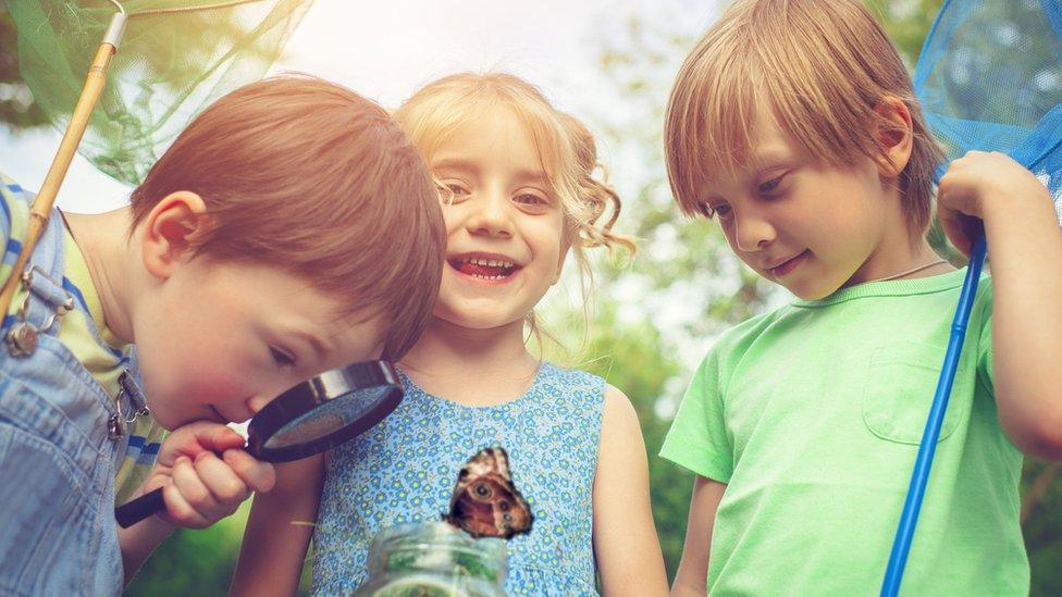 Children looking at a butterfly