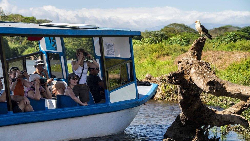 Tourists bird watching in Costa Rica