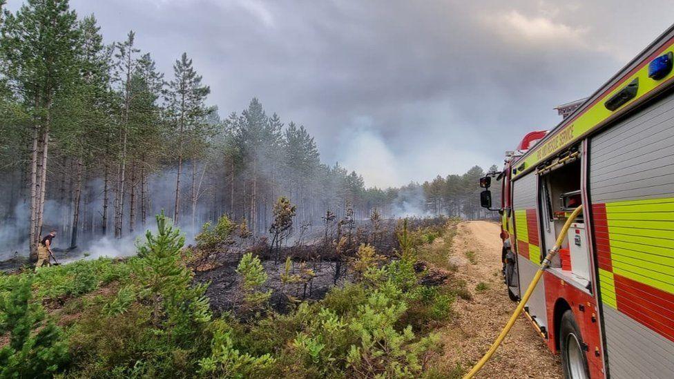 Hampshire & Isle of Wight Fire & Rescue Service fire engine on the right smouldering small trees and smoke to the left with a firefighter beating a fire by tall trees