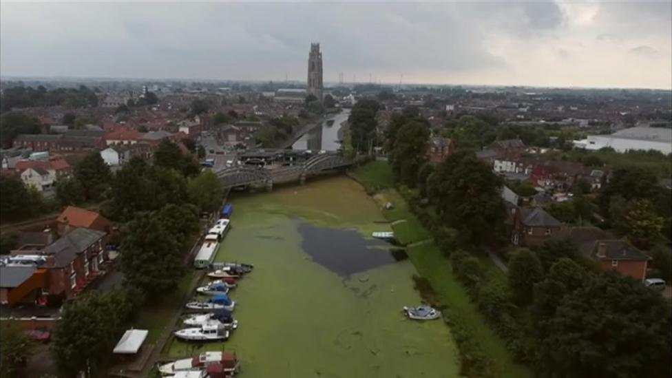 Aerial view of weeds on River Witham