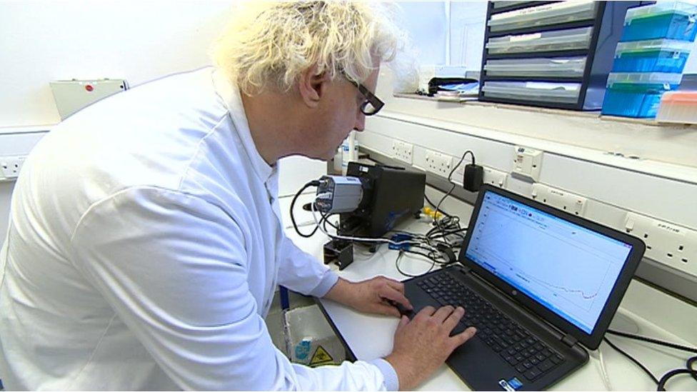 Scientist at laptop