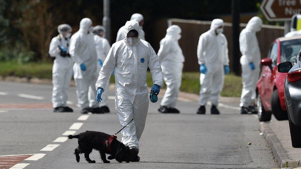 Forensics officers in white overalls comb the scene