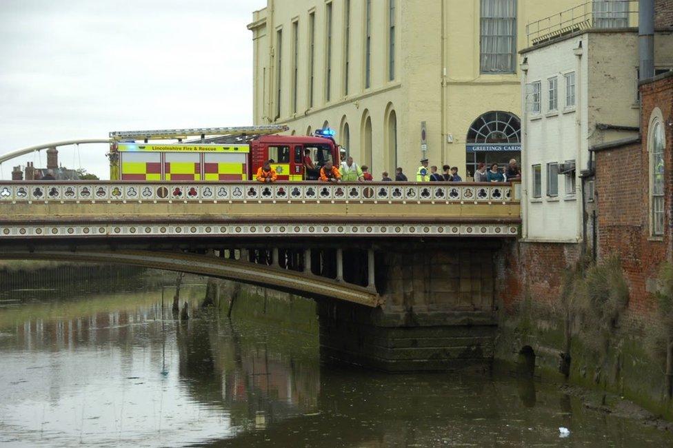 Cat at side of river