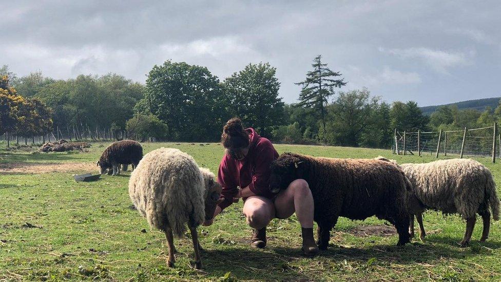 Kelsey on the farm with sheep