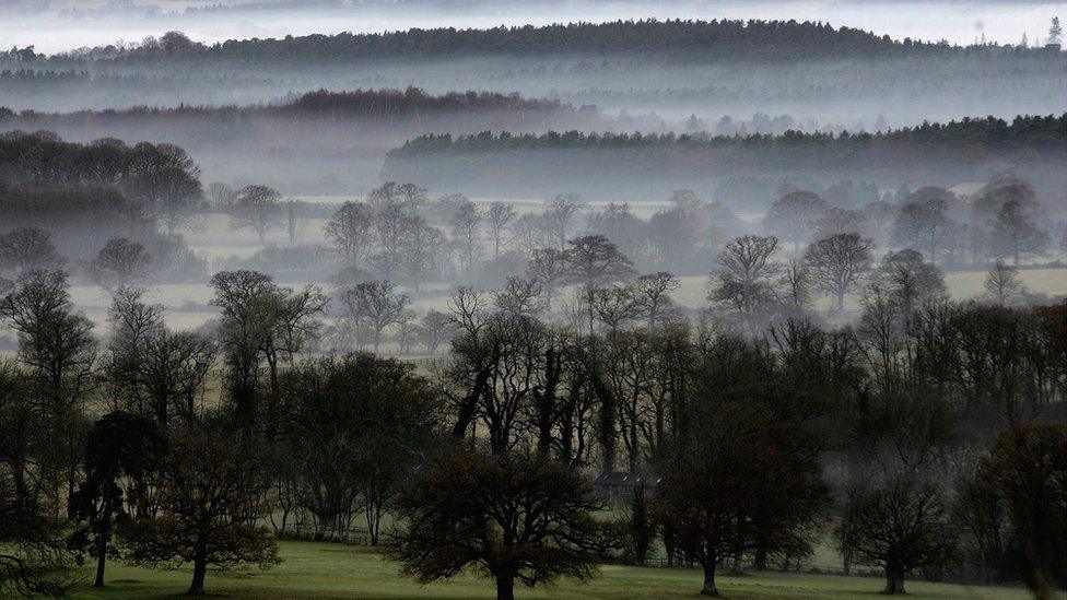 Countryside, South Downs