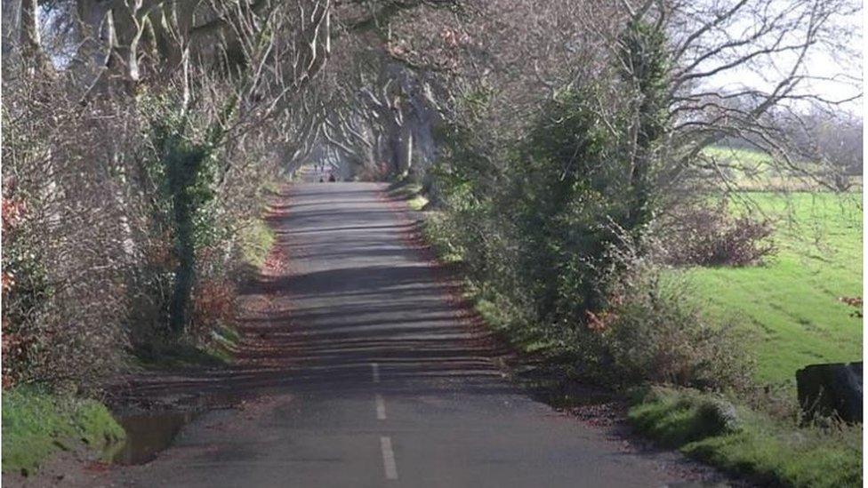 Dark hedges