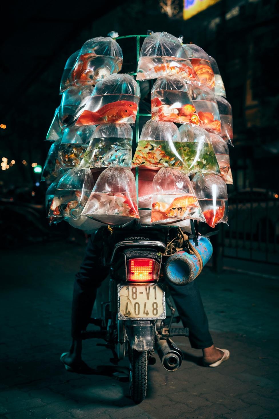 A motorcycle is mounted with a shelf- like structure, hanging bags of different types of fish