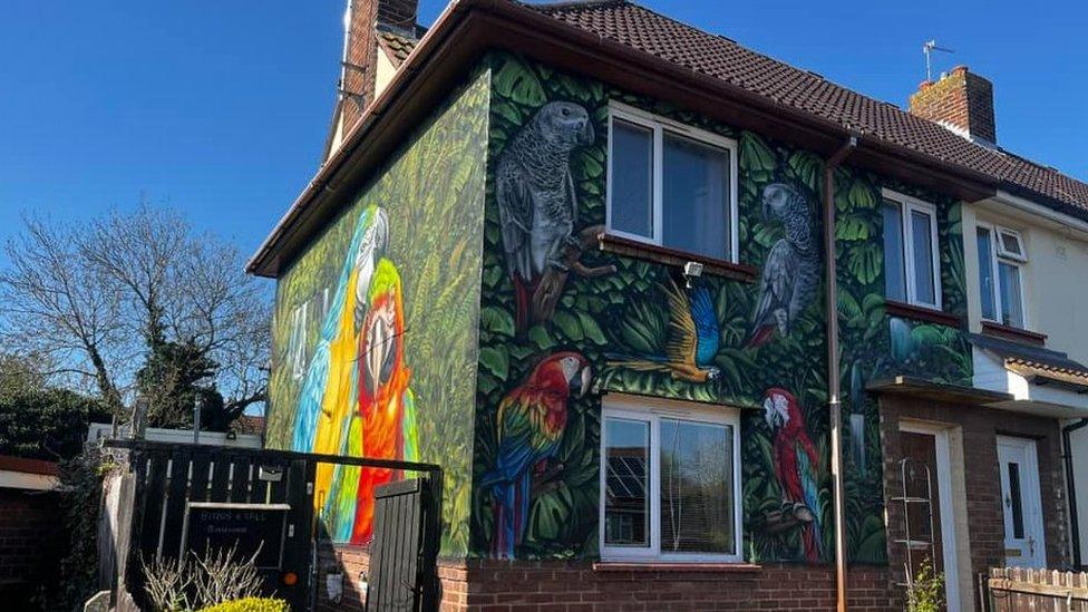 Mural on a house